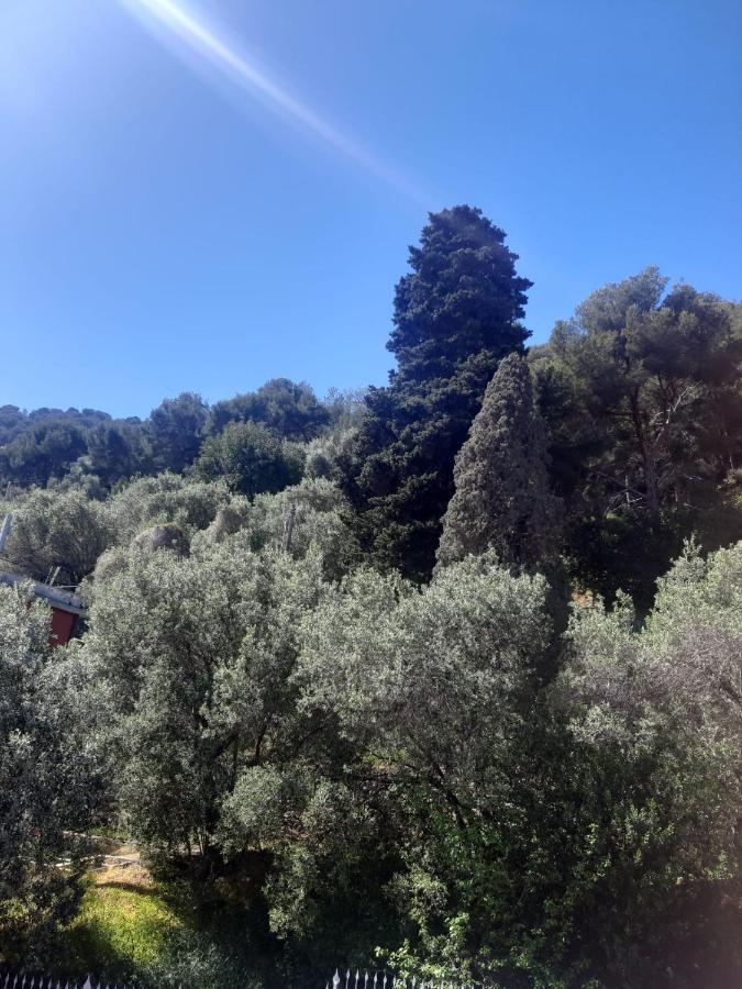 Spectacular Sea View - 3 Minutes Walk From The Sea Villa Laigueglia Buitenkant foto