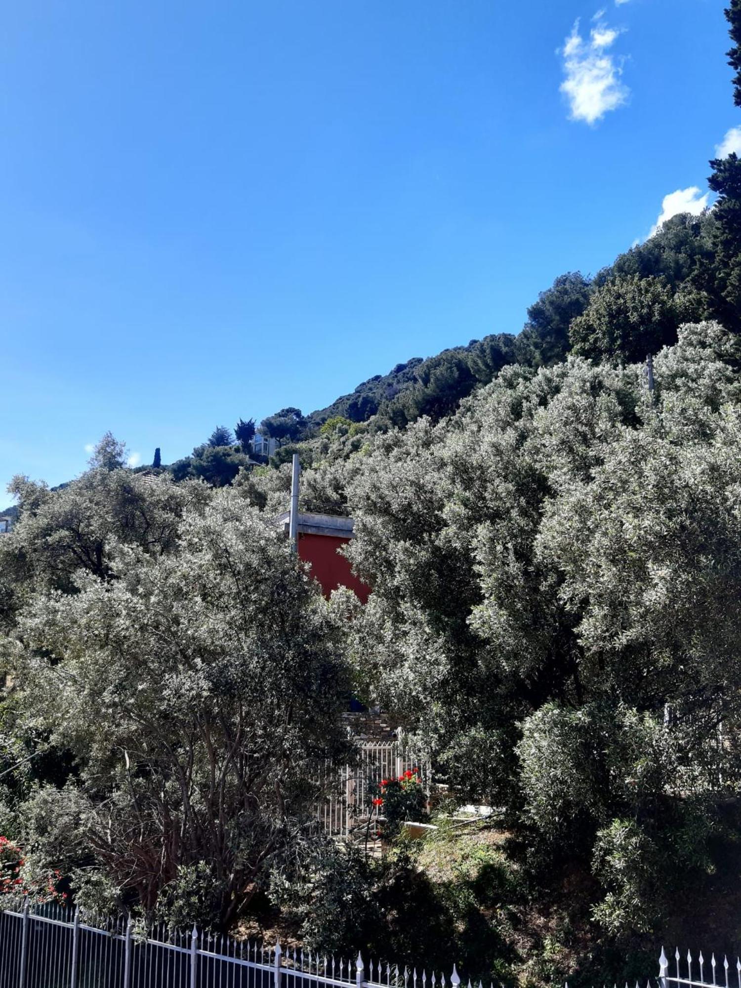Spectacular Sea View - 3 Minutes Walk From The Sea Villa Laigueglia Buitenkant foto